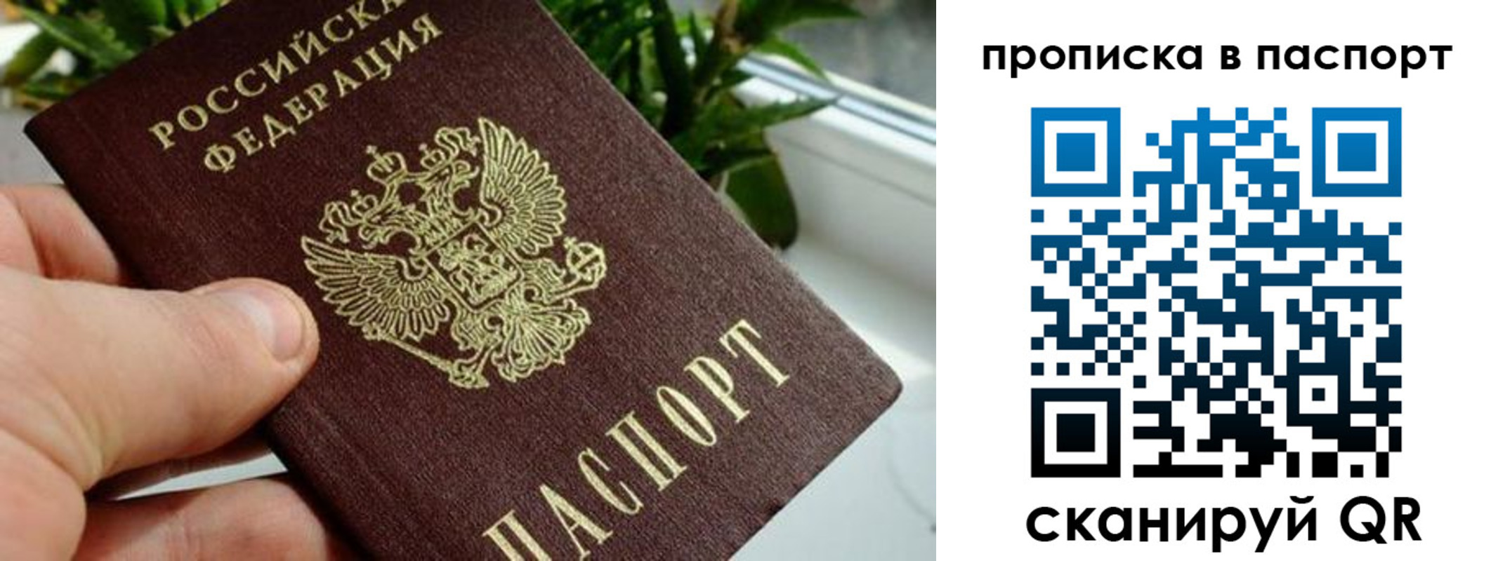 пропишу в квартире в Полярном
